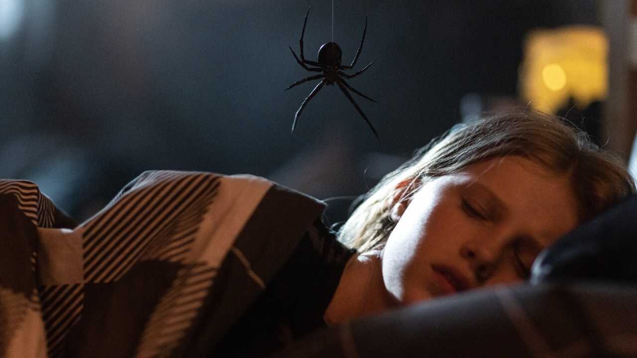 Sting (2024) 0