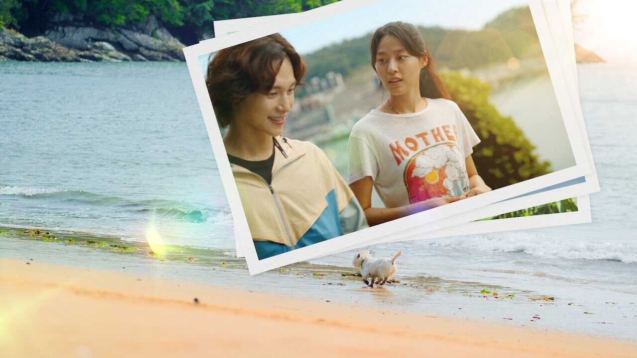 IN - Summer Strike (2022) 2