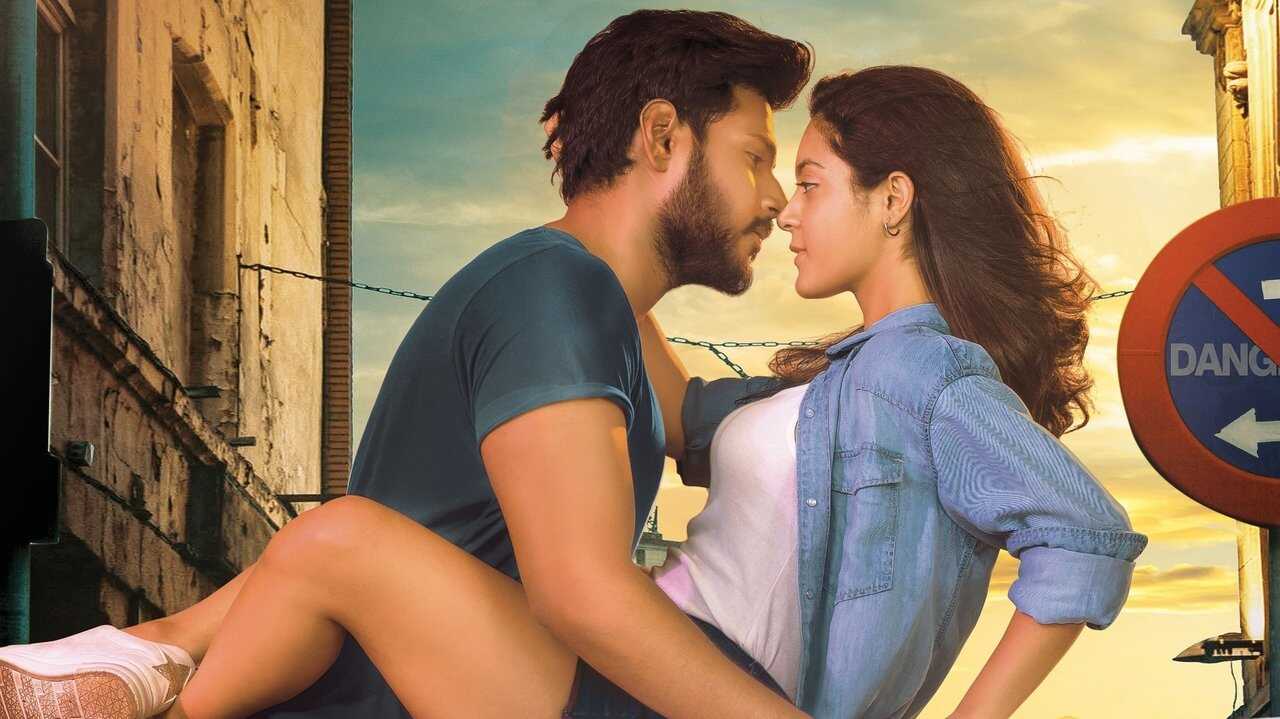 నిను వీడని నీడను నేనే 0