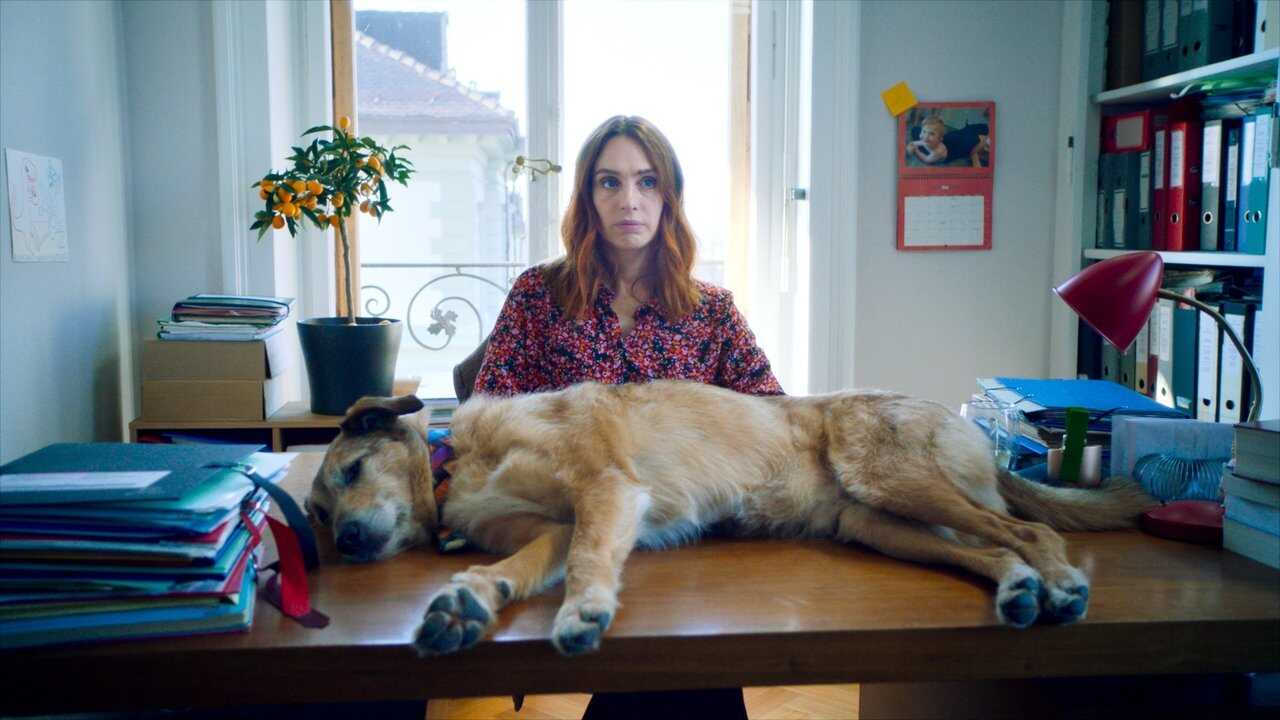 Dog on Trial (2024) 0