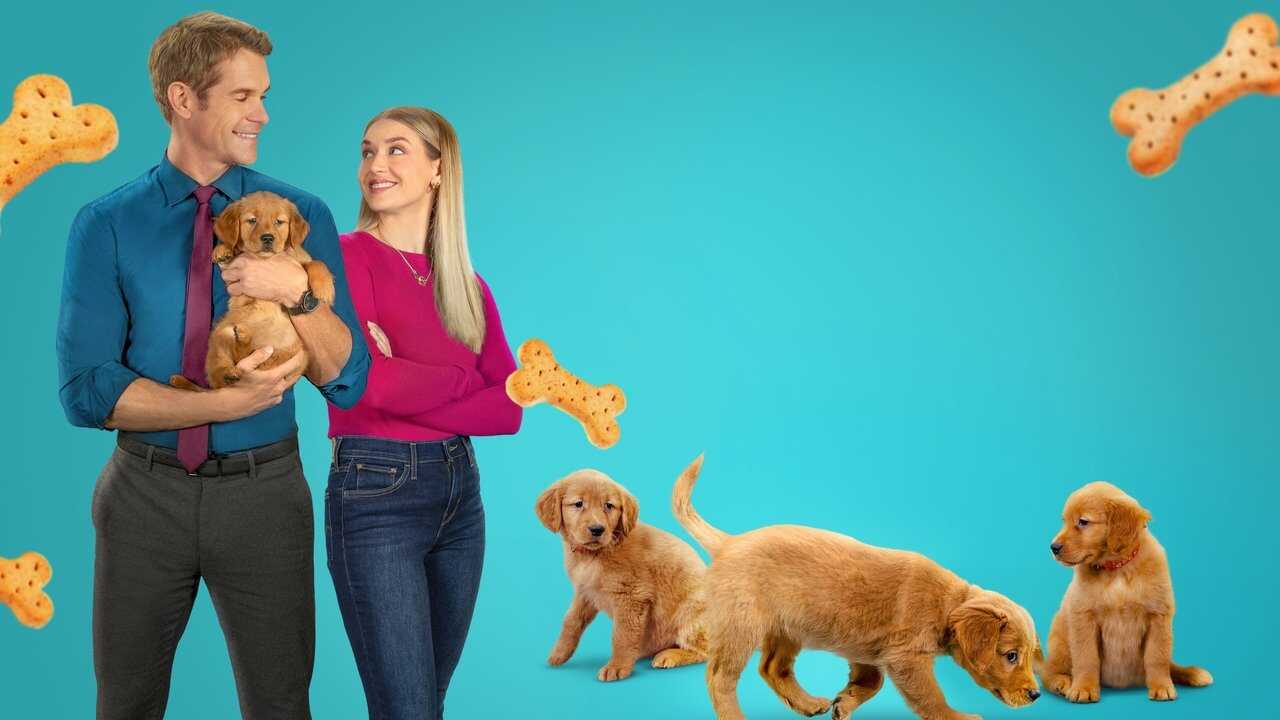 Everything Puppies 0