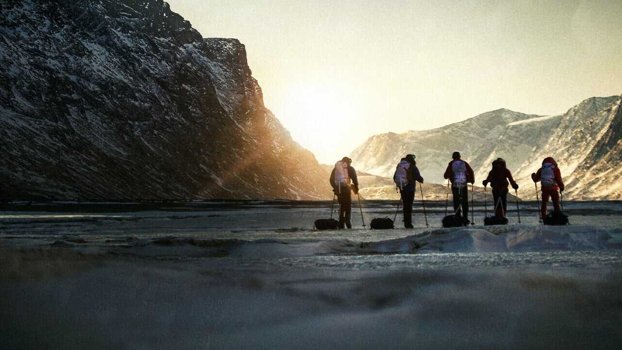 Operation Arctic Cure (2024) 0