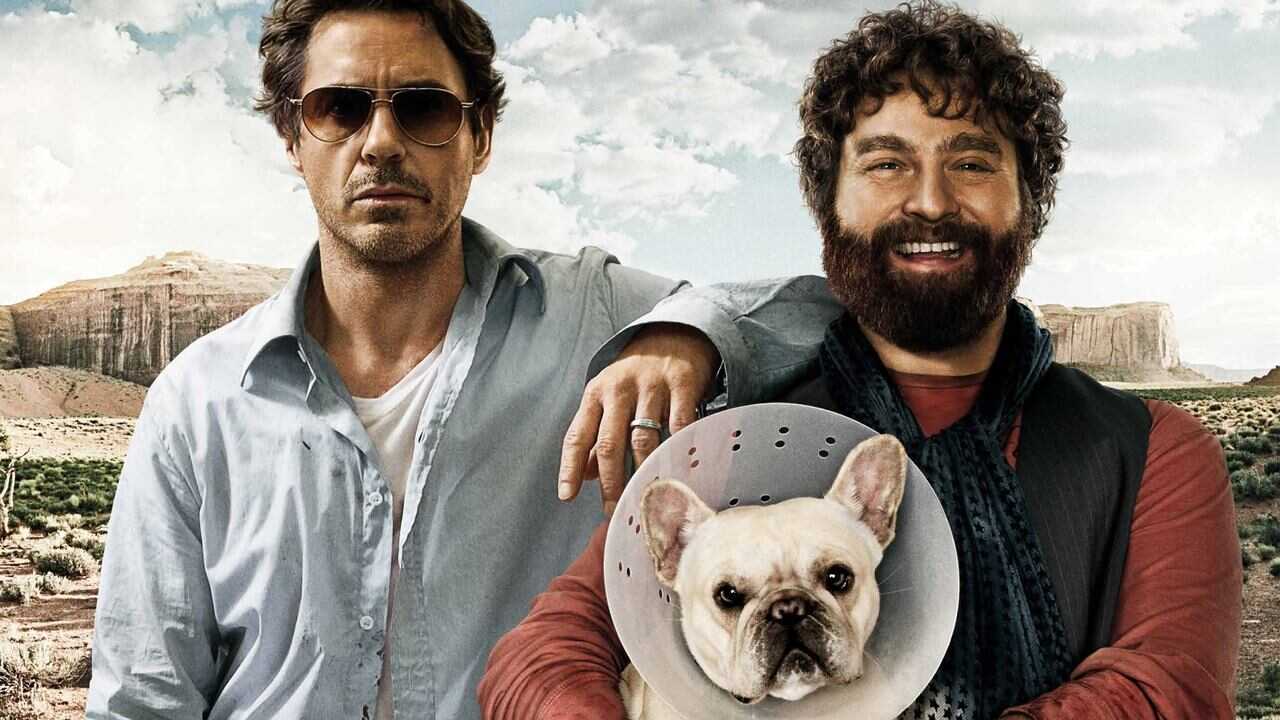 Salidos de cuentas (2010) 0