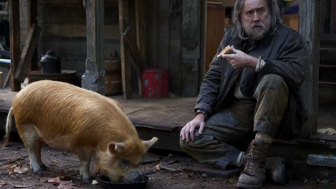 Pig 0