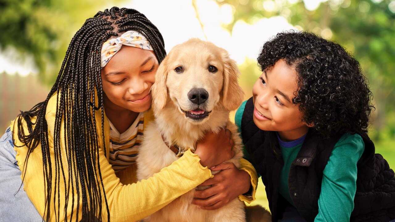FR - Mission : adoption 0