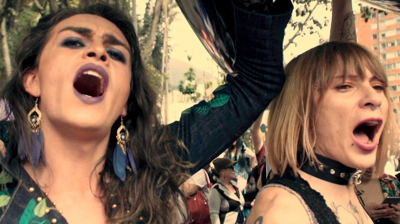 Transfariana 0