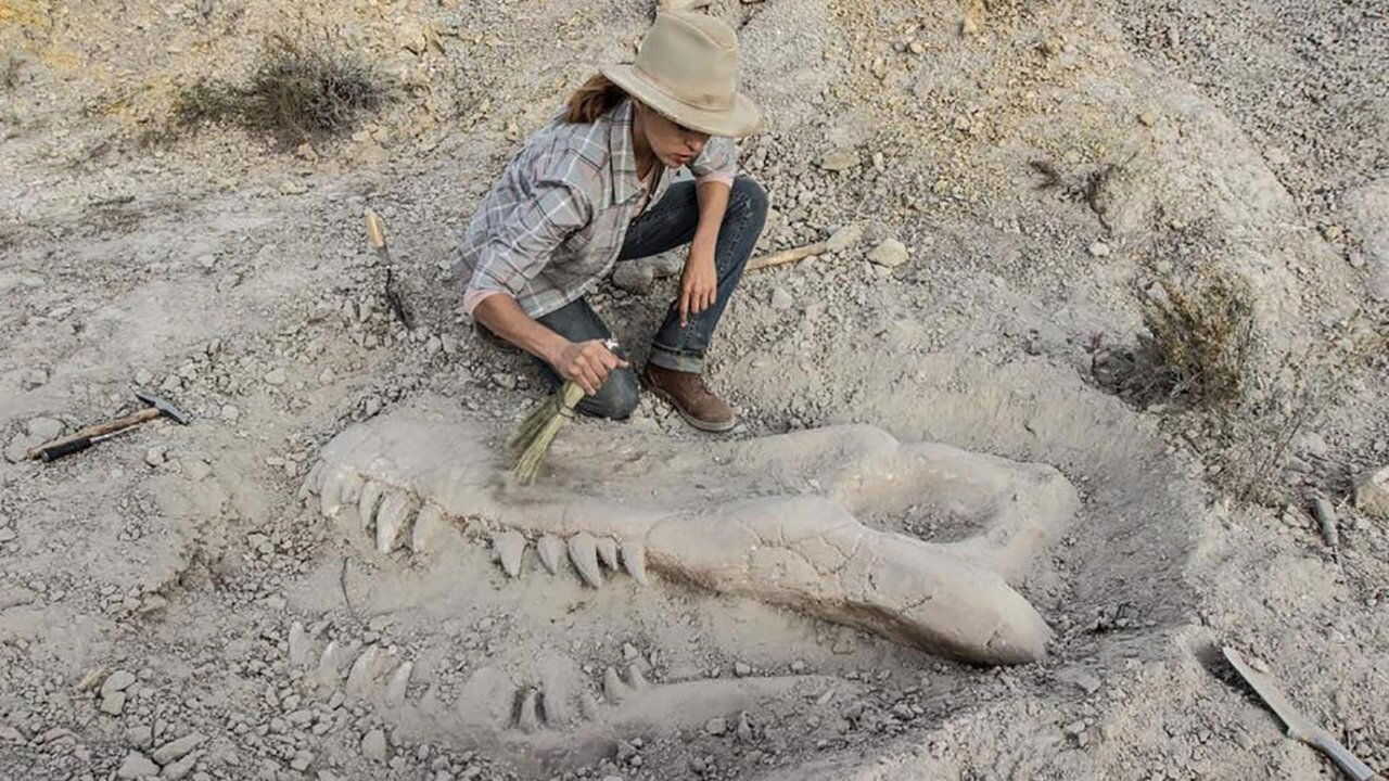 Valley of Bones 0