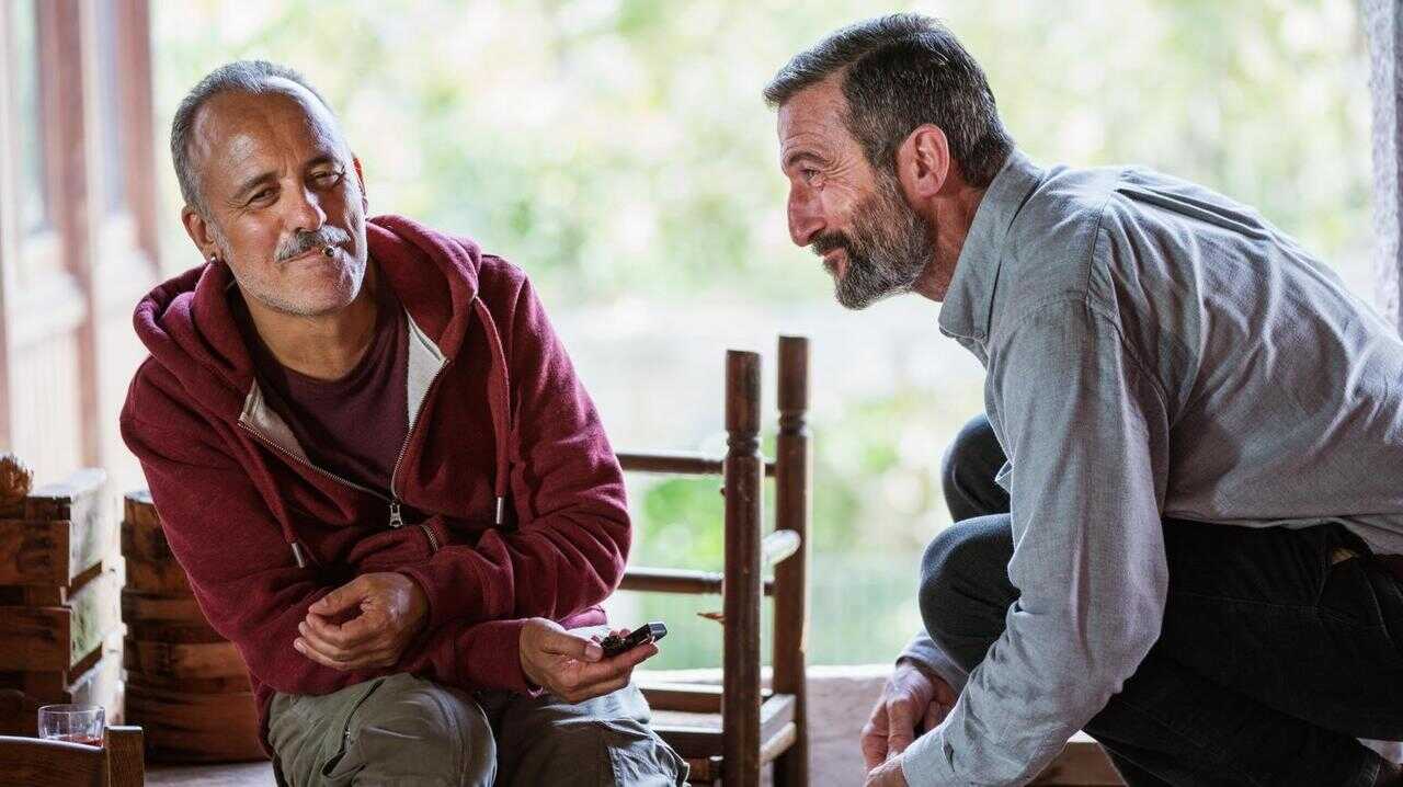 Pájaros (2024) 0