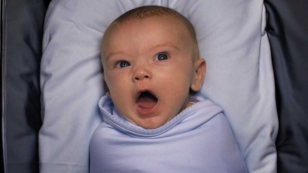 American Circumcision 0