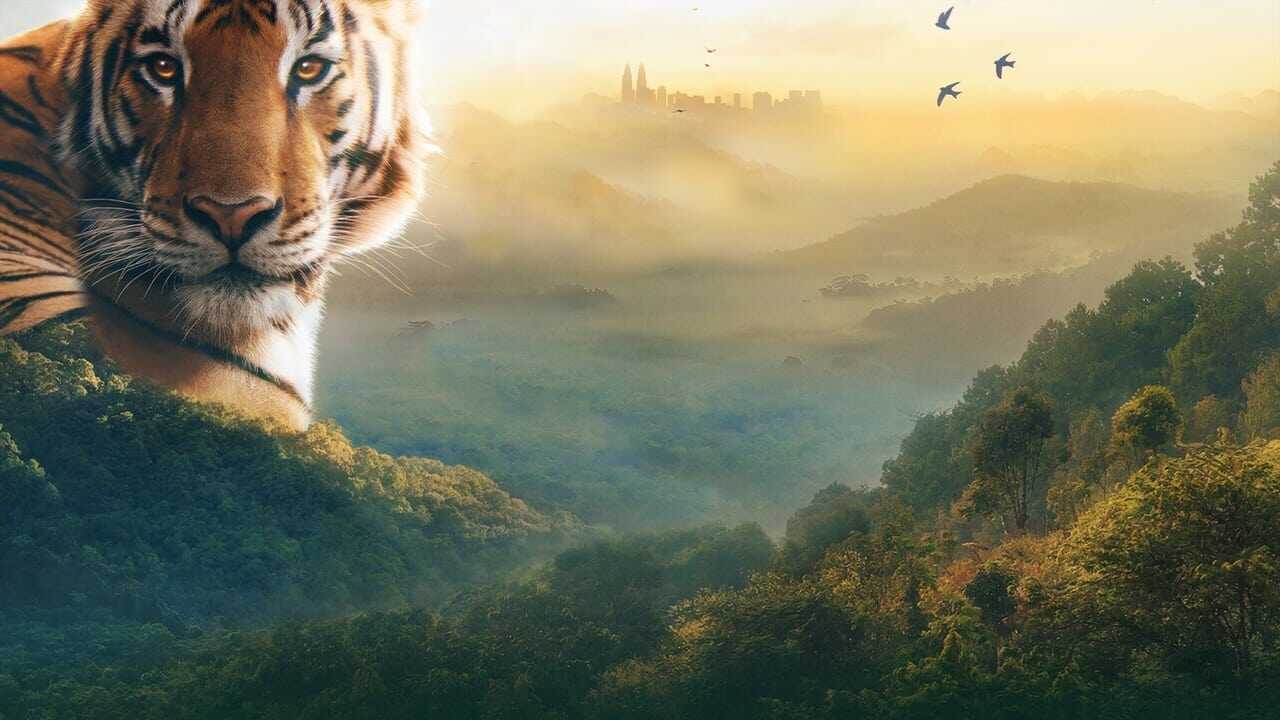 EN - Asia (2024)  David Attenborough 1