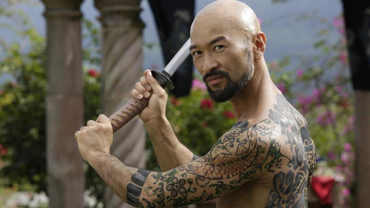 Falcon Rising (2014) 0