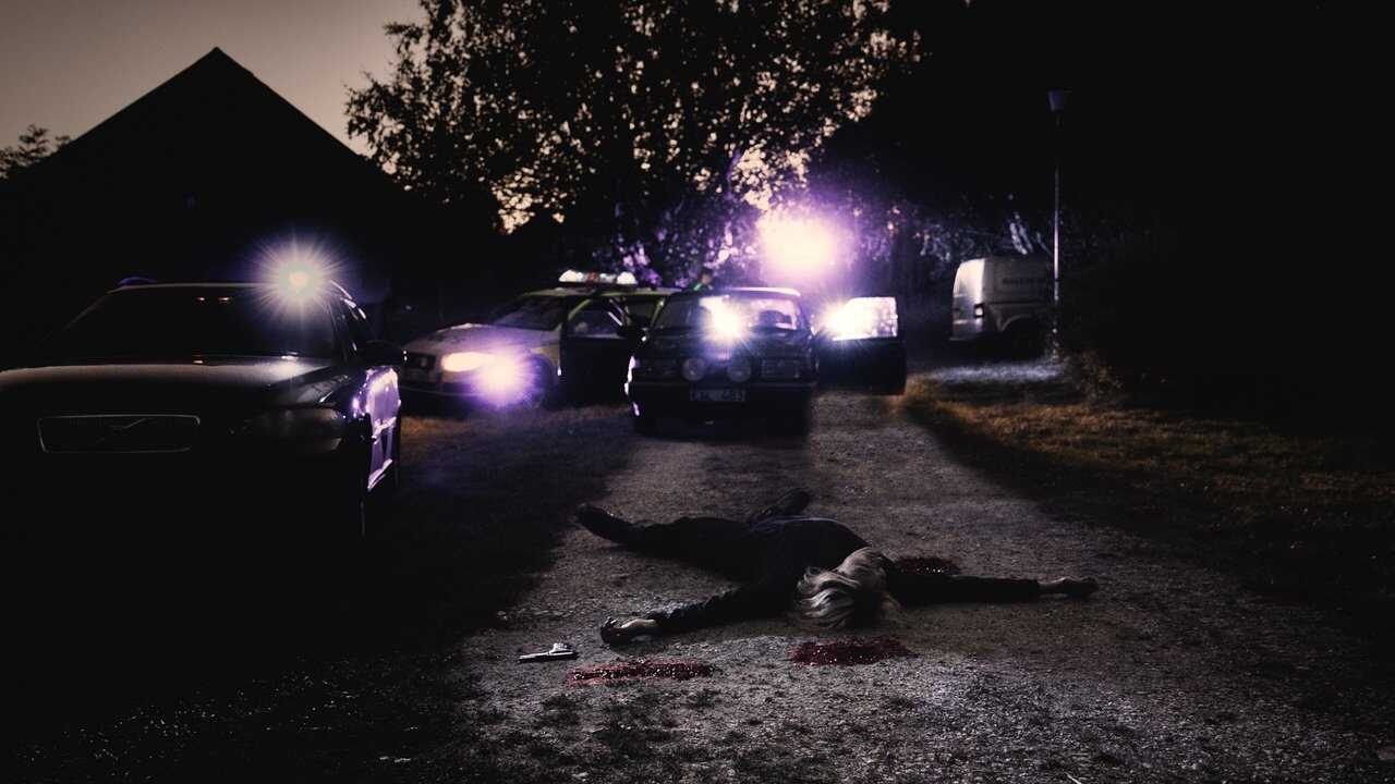 Ankdammen (2019) 0