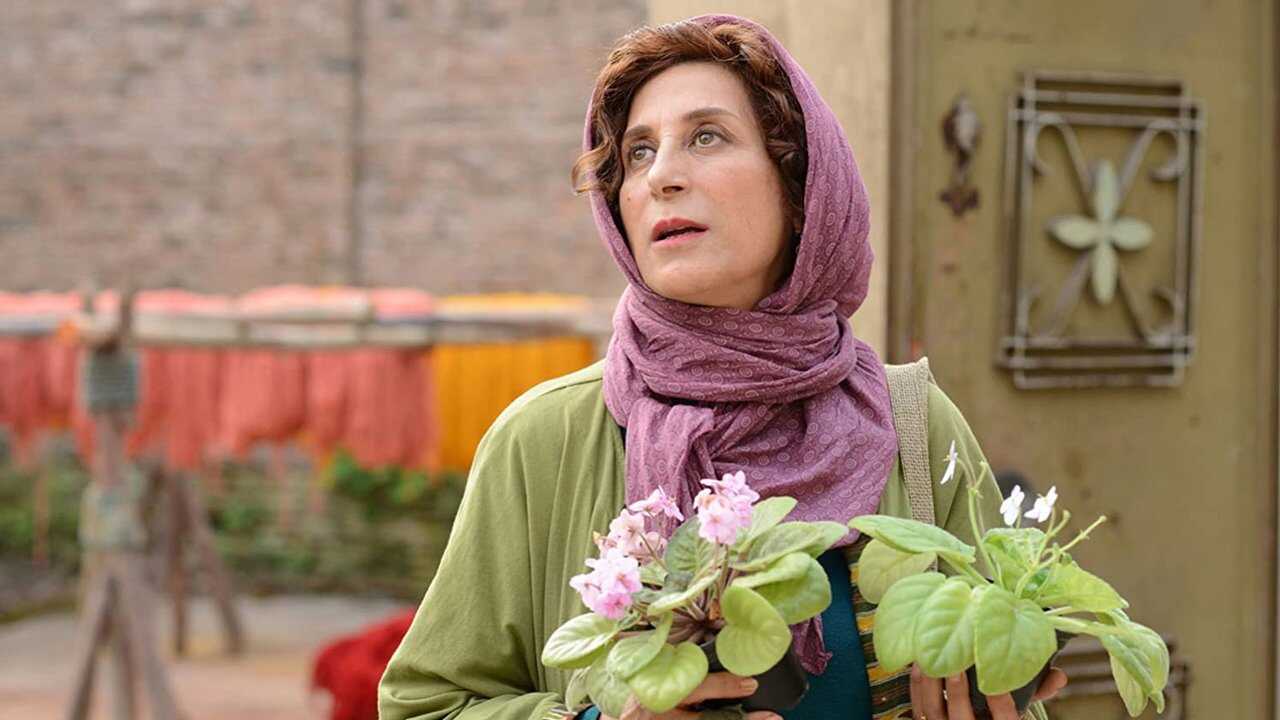African Violet (2019) 0