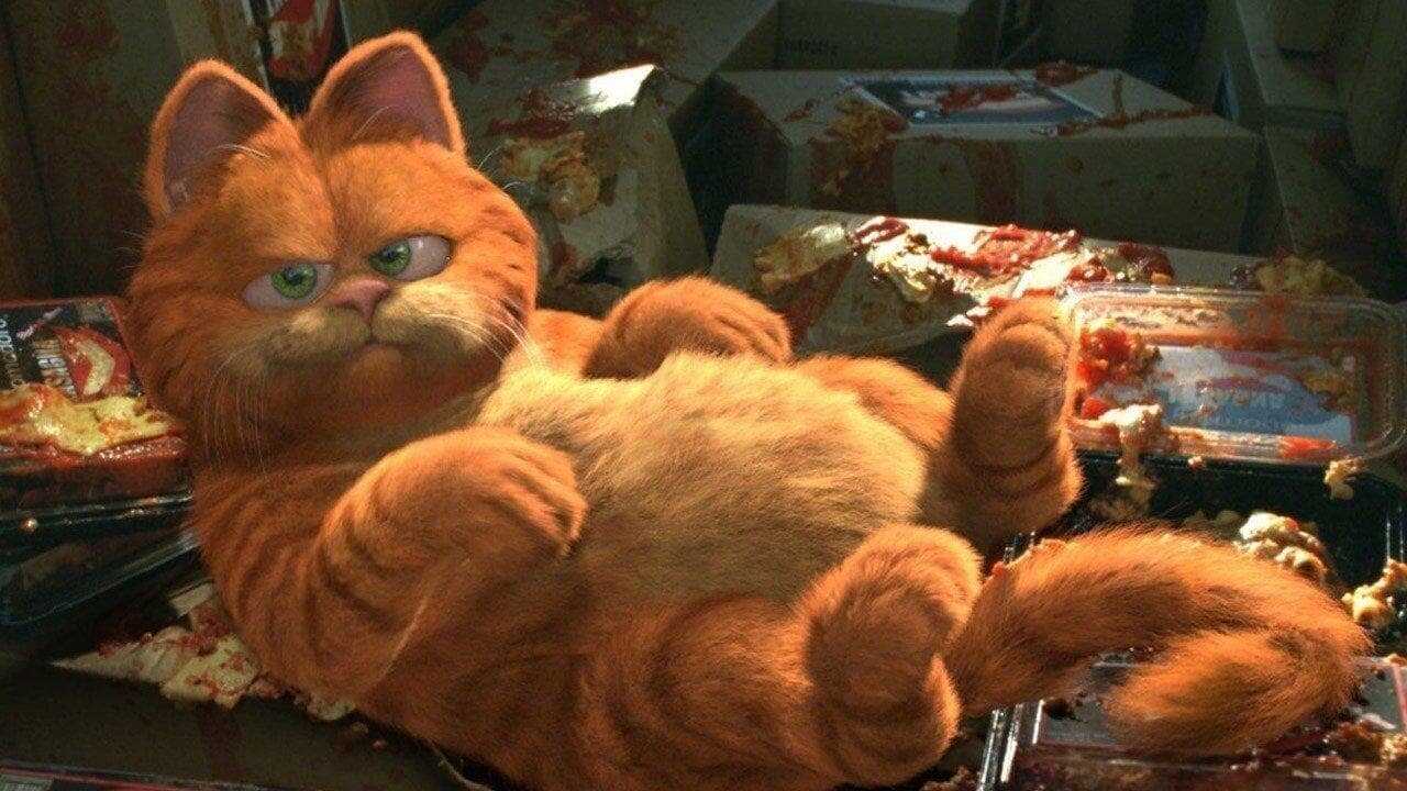 Garfield (2004) 0
