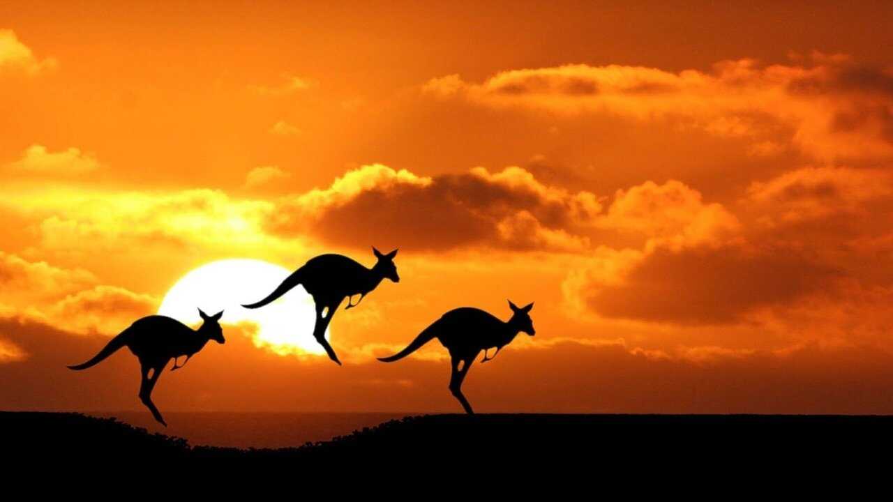 Australia: Land Beyond Time 0