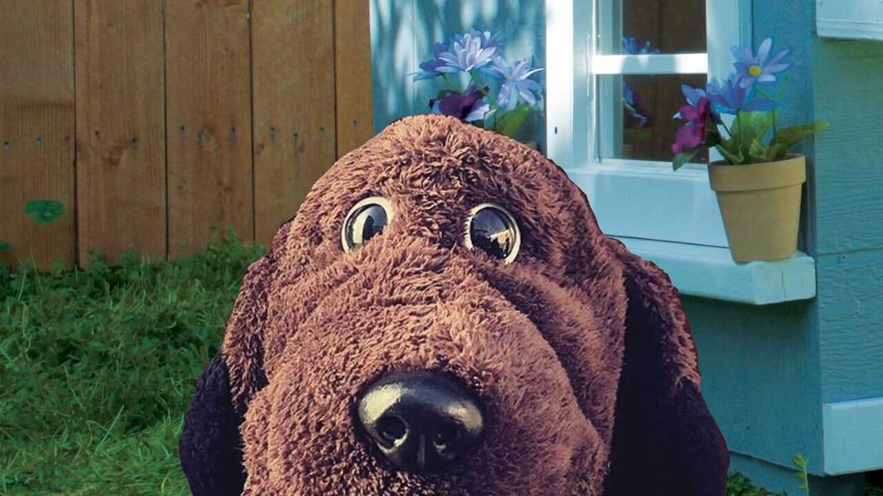 Allan The Dog 0