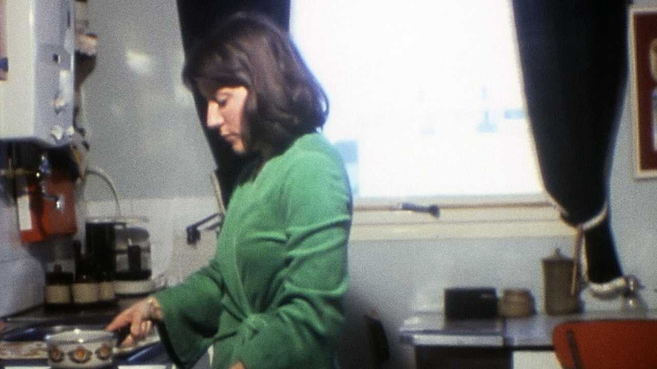L'Histoire oubliée des femmes au foyer 0