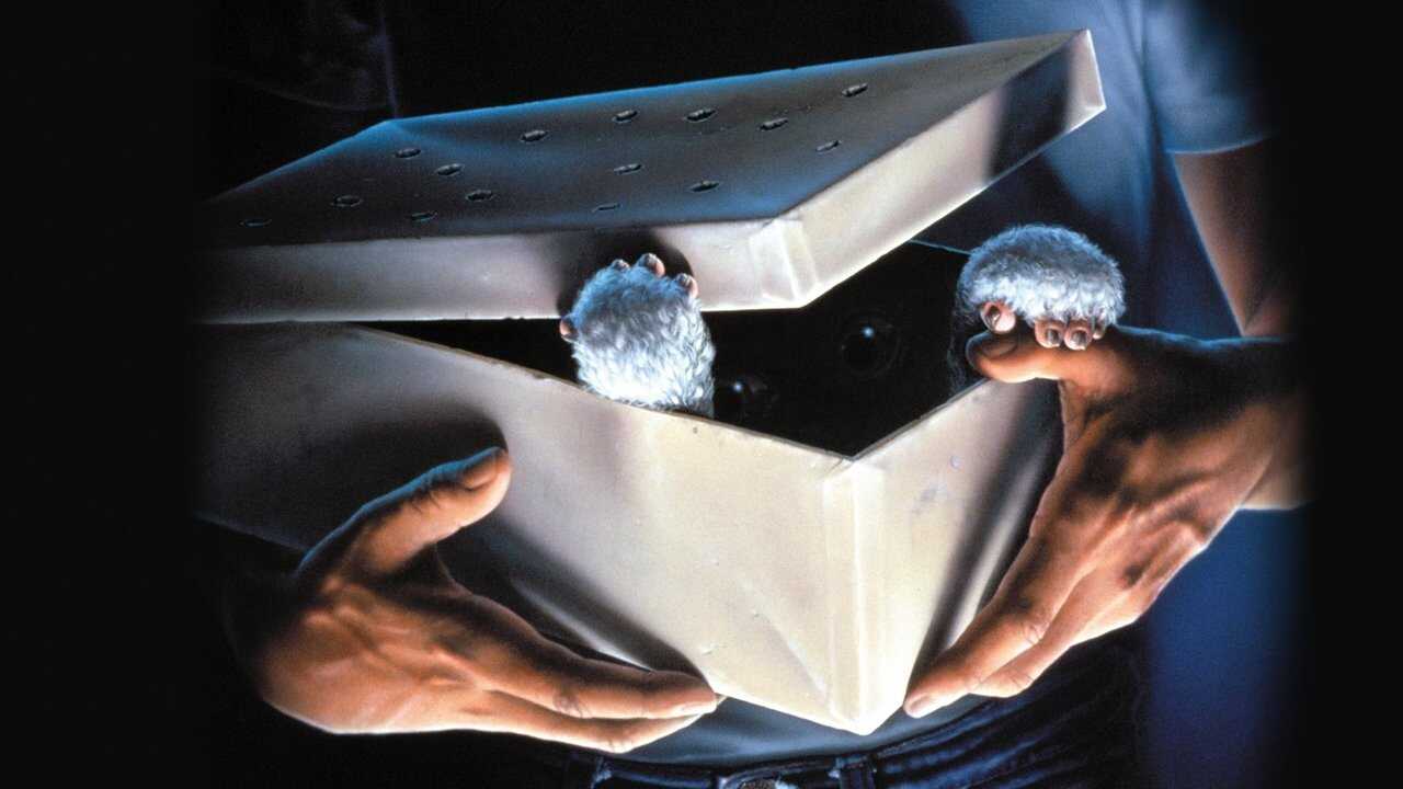 Gremlins (1984) 0