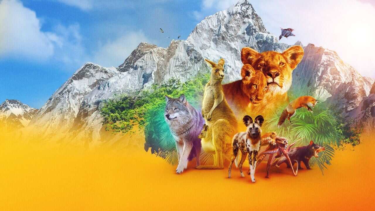 FR - Le règne animal 0