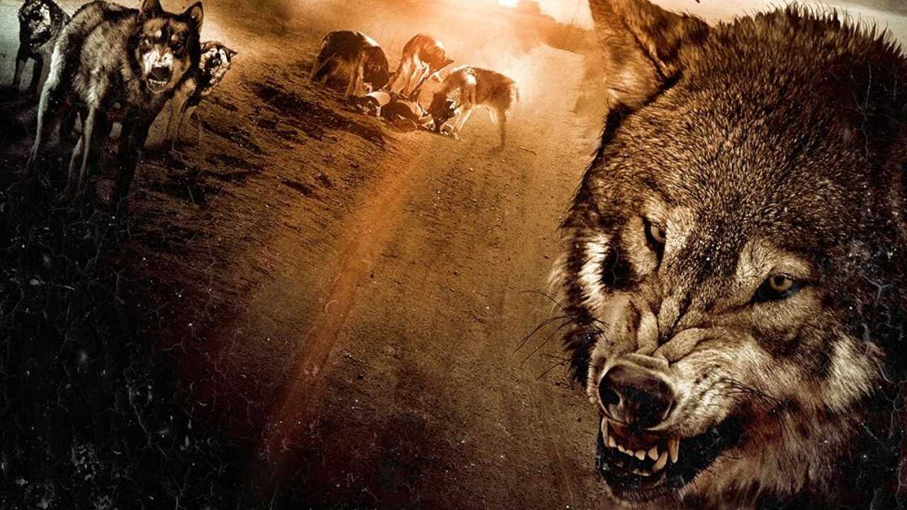 Wolf Town 0