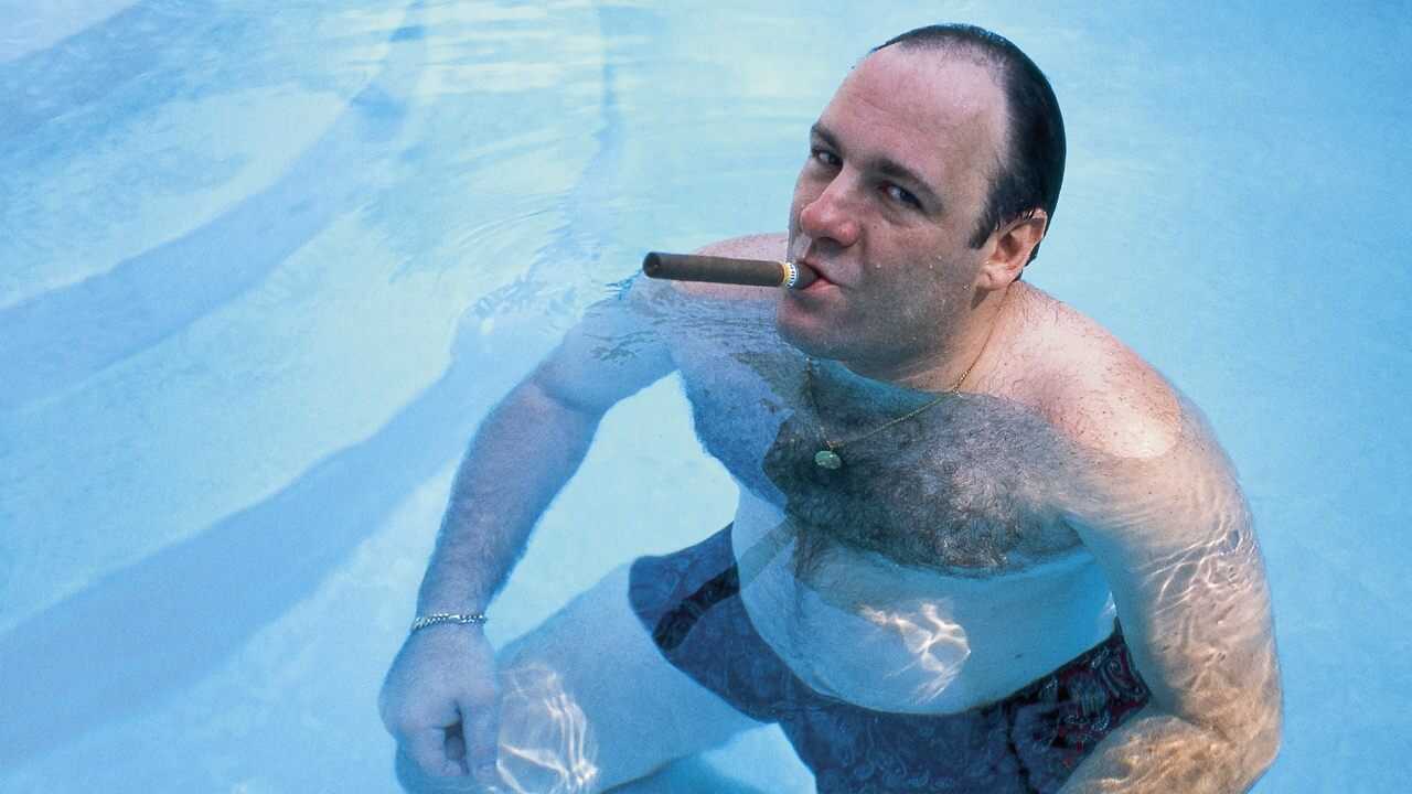 EN - Wise Guy: David Chase And The Sopranos (2024) 0