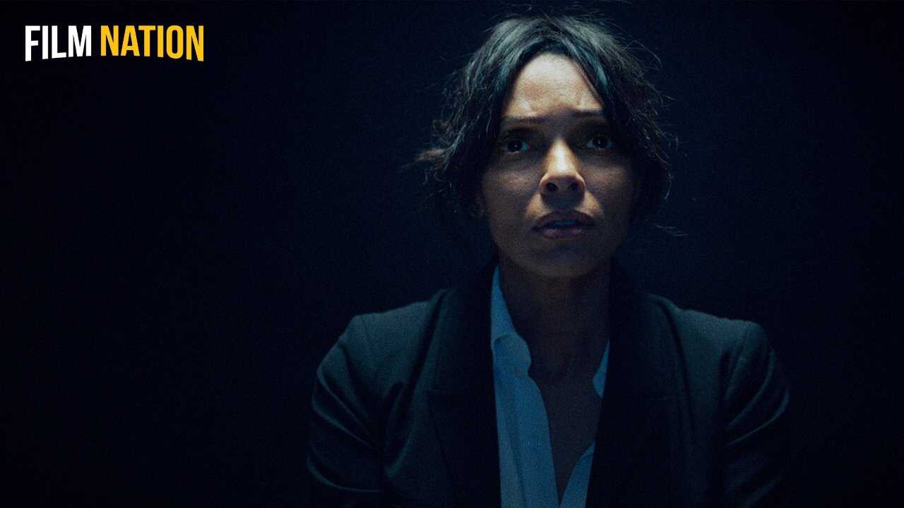 Diary of a Spy 0