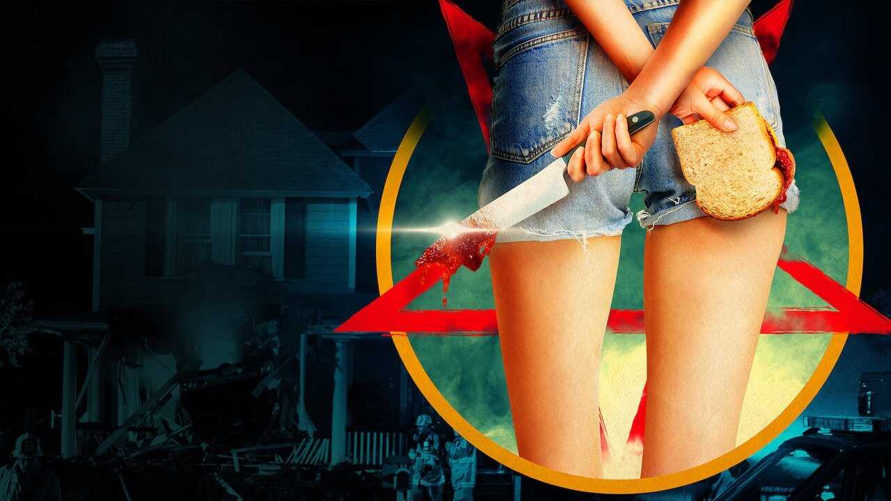 The Babysitter (2017) 0