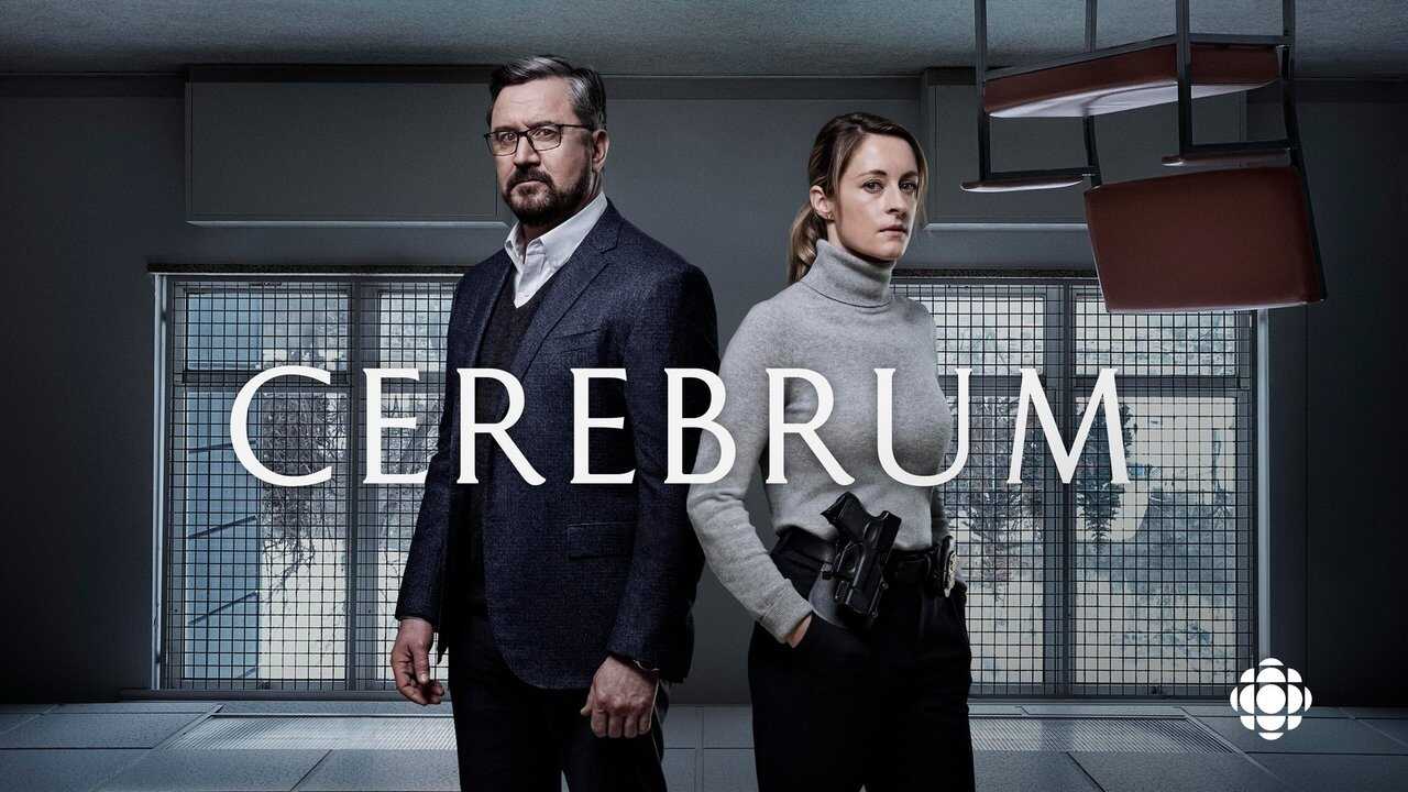 QFR - Cerebrum (2019) 0