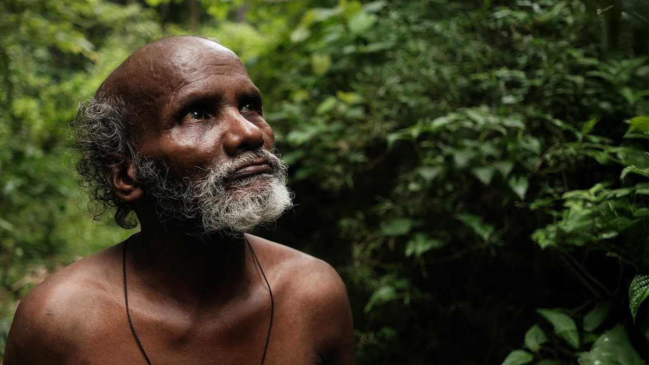 പാത്ത് 0