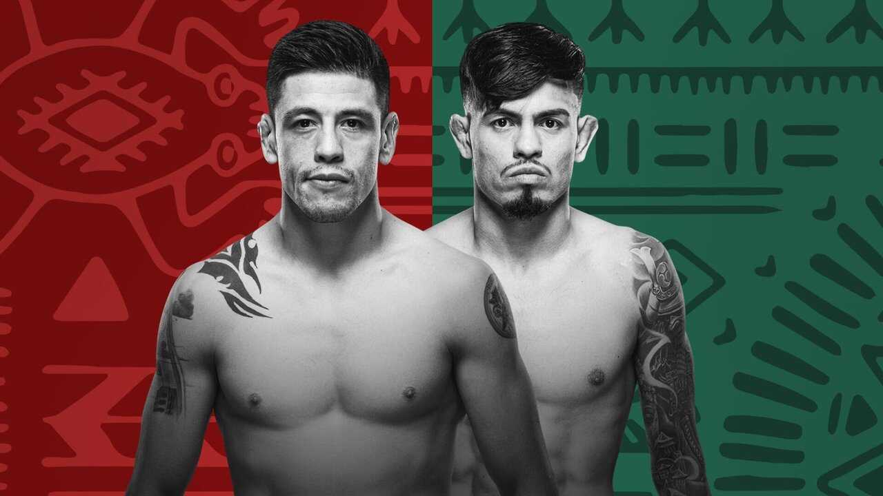 UFC Fight Night 237: Moreno vs. Royval 2 (2024) 0