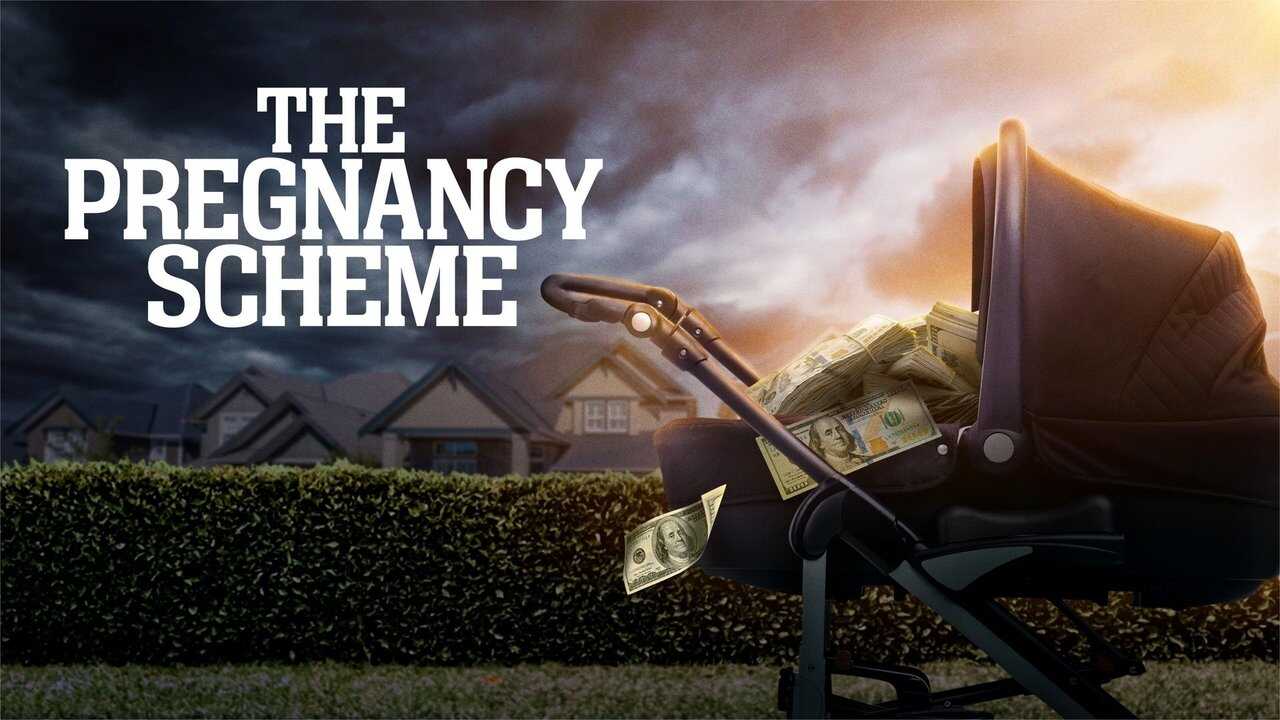 The Pregnancy Scheme 0
