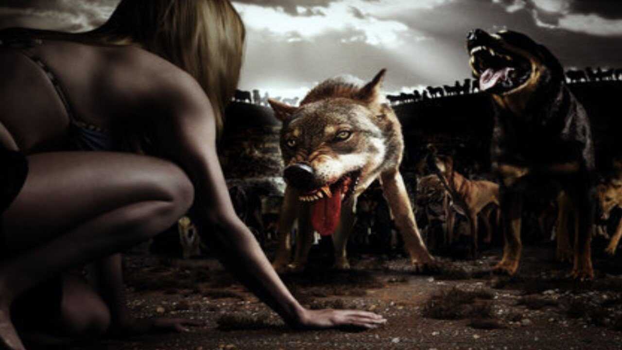 The Breed 0
