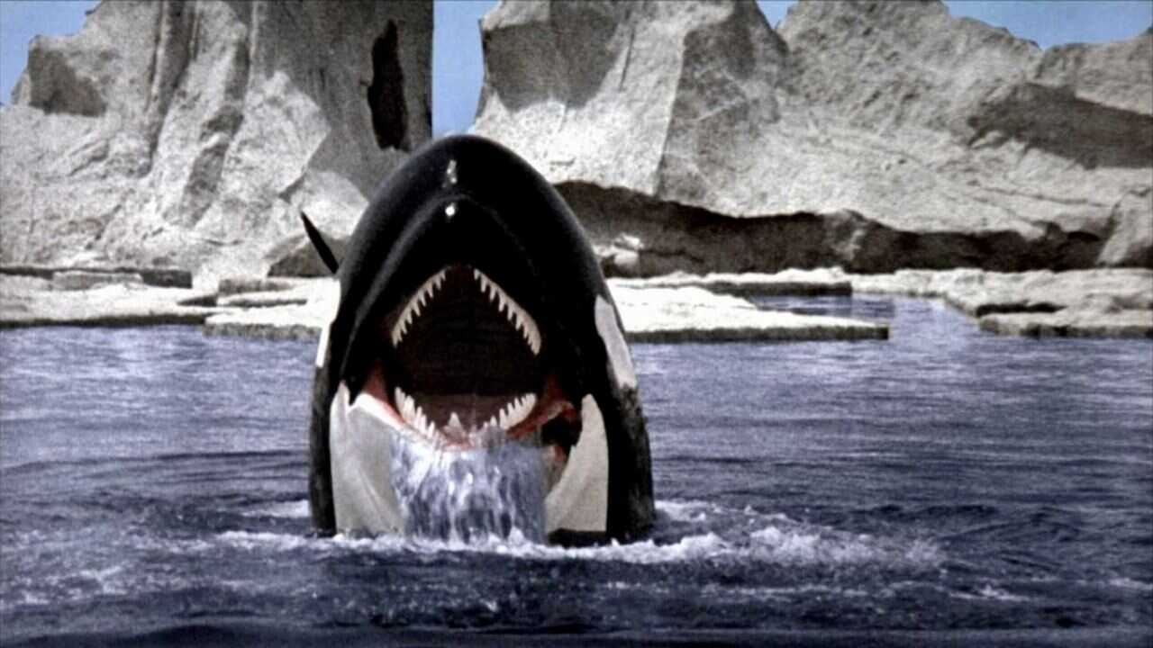 Orca, la ballena asesina (1977) 0