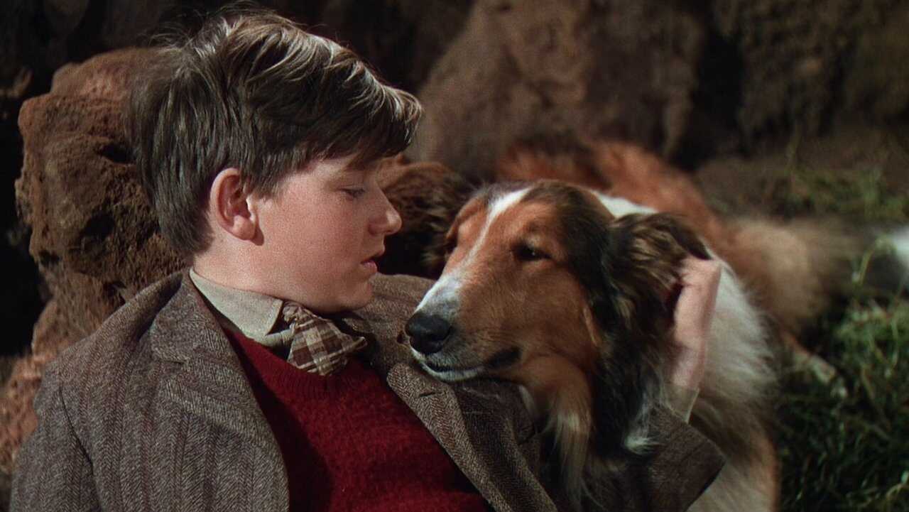 Lassie Come Home (1943) 0