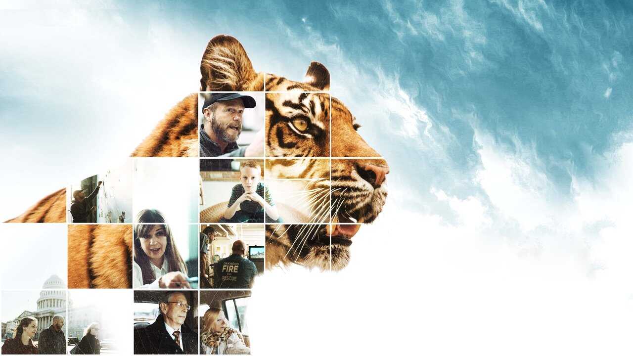 The Conservation Game 0
