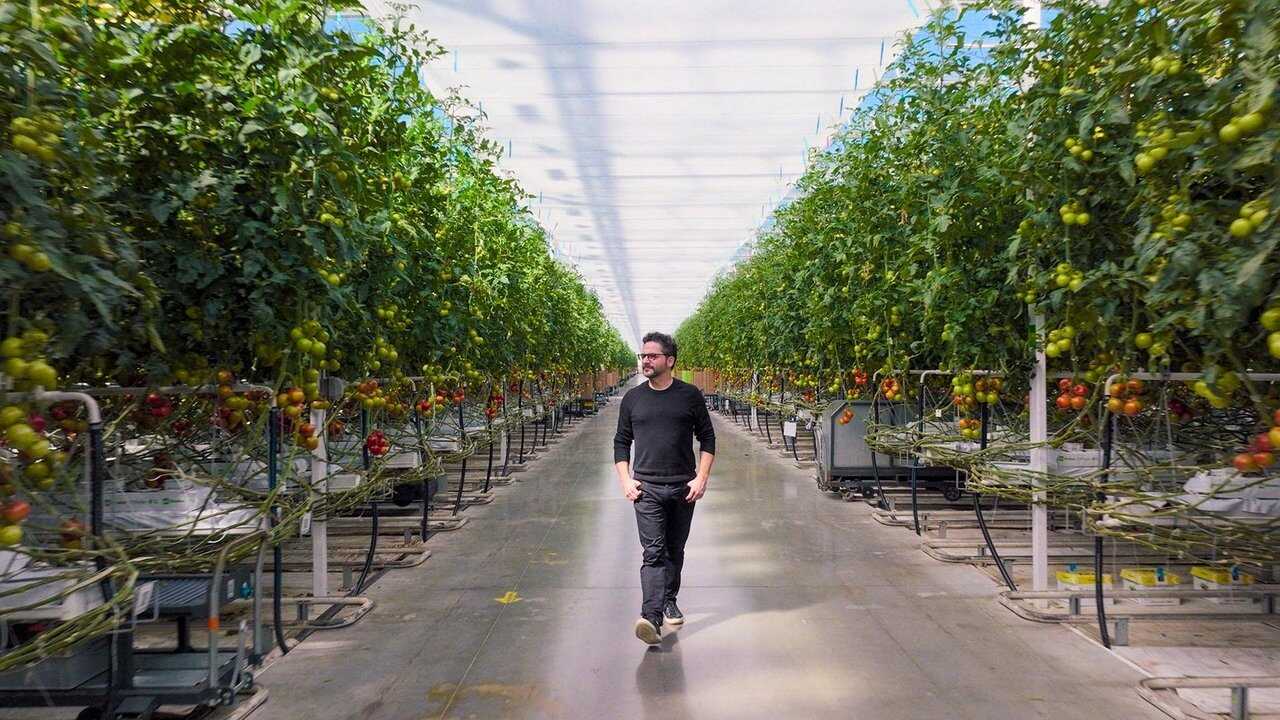 EN - A Brief History Of The Future (2024) 1