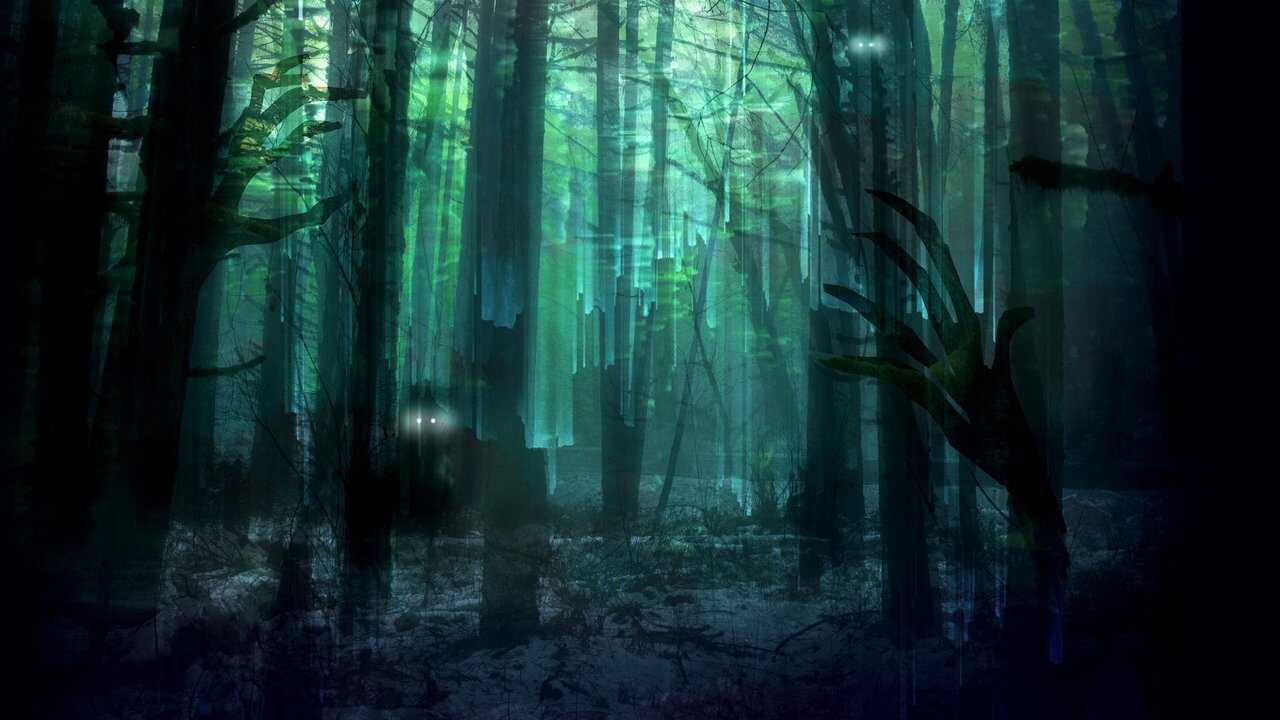 FR - the Woods 0