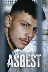 DE - Asbest (2023) 8