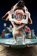 NL - TERRIERS 8
