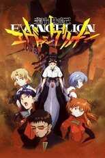 DE - Neon Genesis Evangelion (1995) 8