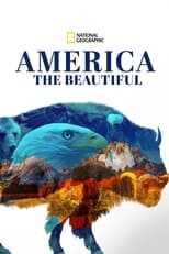 NL - AMERICA THE BEATIFUL 8