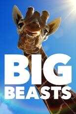 NL - BIG BEAST 8