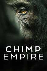 AR - Chimp Empire (2023) 8