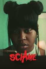 IT - Sciame 8