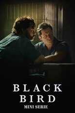 NL - BLACK BIRD (2022) 8