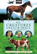 NL - ALL CREATURES GREAT AND SMALL 8
