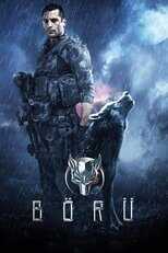 FR - Boru 8