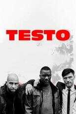 DE - Testo (2024) 8