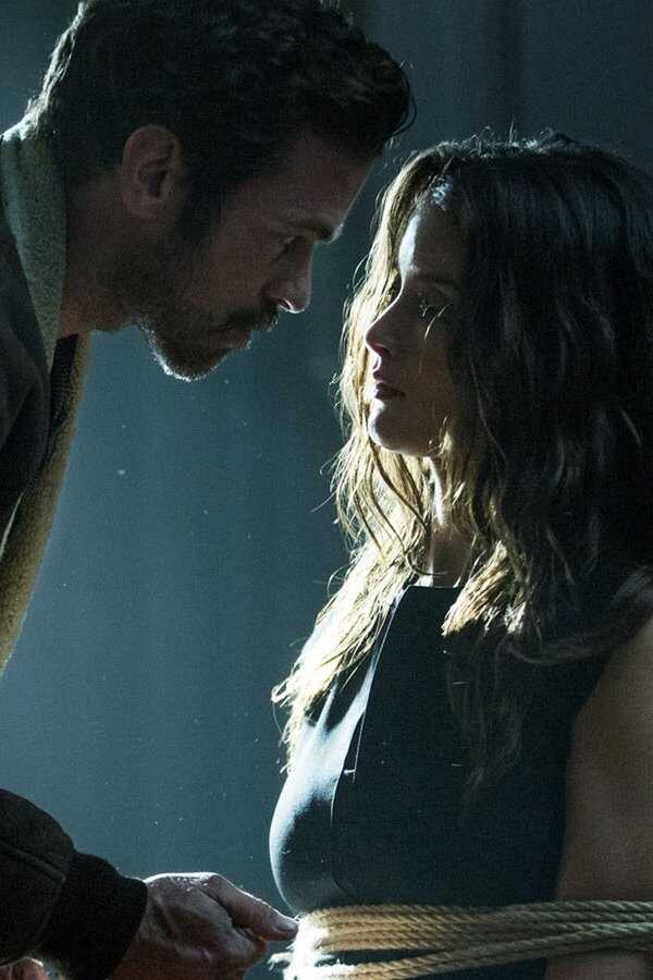 Iris (2016) 0