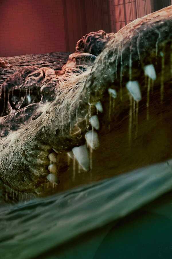 The Flood (2023) 0